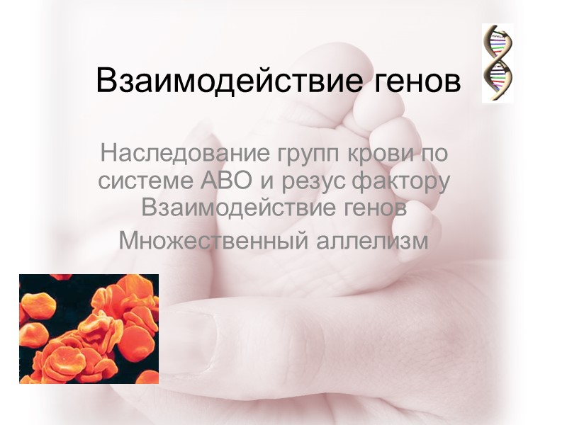 Взаимодействие генов Наследование групп крови по системе АВО и резус фактору Взаимодействие генов Множественный